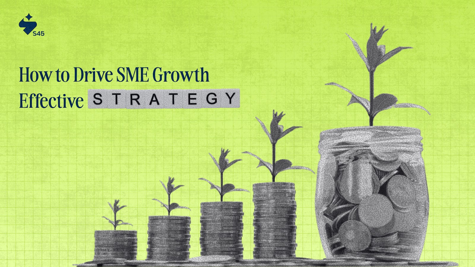 How to Drive SME Growth with Effective Strategies