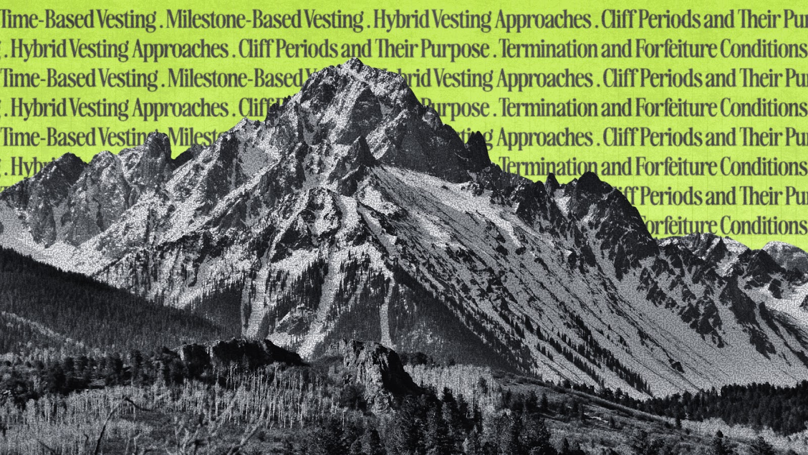 Vesting Schedules for Advisory Shares