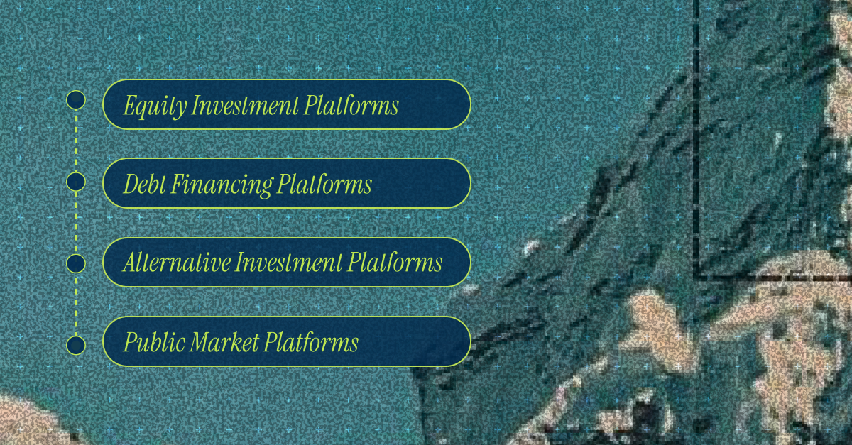 Categories of Investment Platforms for SMEs