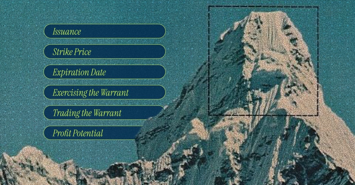 Key Steps in How Warrants Work