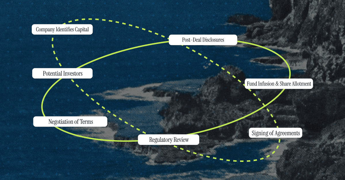 Step by Step Process on How Private Investment in Public Equity Works