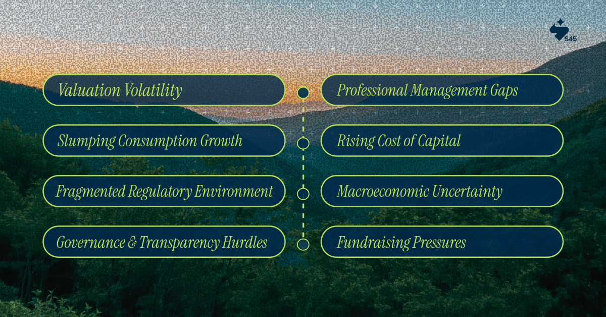 Challenges in the Indian Private Equity Market and How to Overcome Them