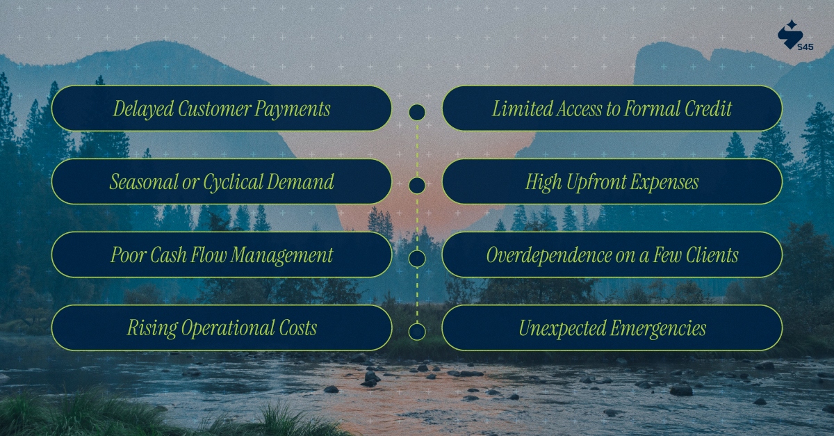 Understanding the Causes of Funding Gaps in SMEs